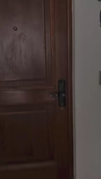 instagram_diegomanterolam.myshopify.com_1755719702597_.mp4